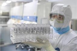 Vaccine phòng nCoV đạt thành công bước đầu trong quá trình thử nghiệm